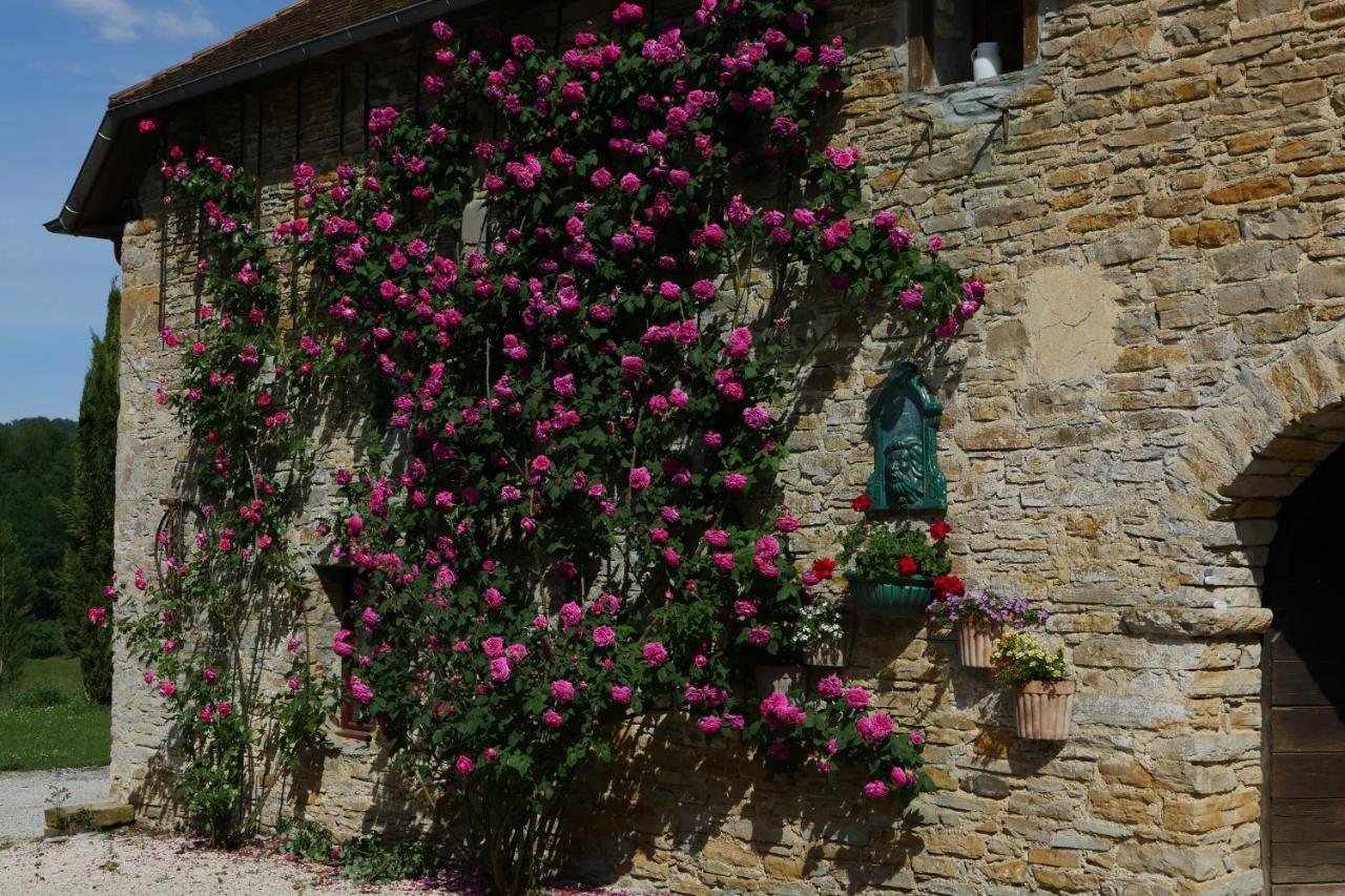 Chambres D'Hotes Secret Pyrenees Lasseube 외부 사진